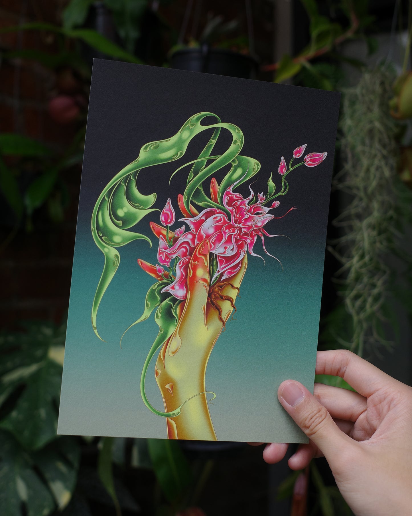 [MINI] HOUSE ORCHID